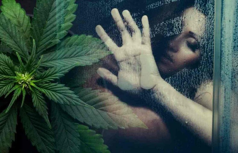 sexe-cannabis