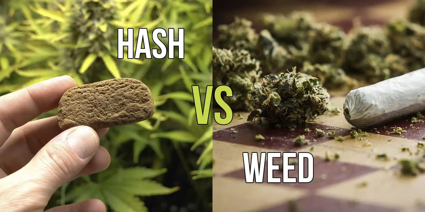 difference-Hash-weed