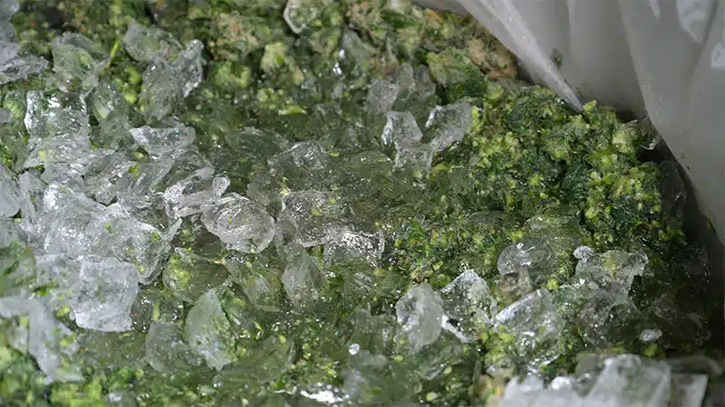 eau-glacee-cannabis